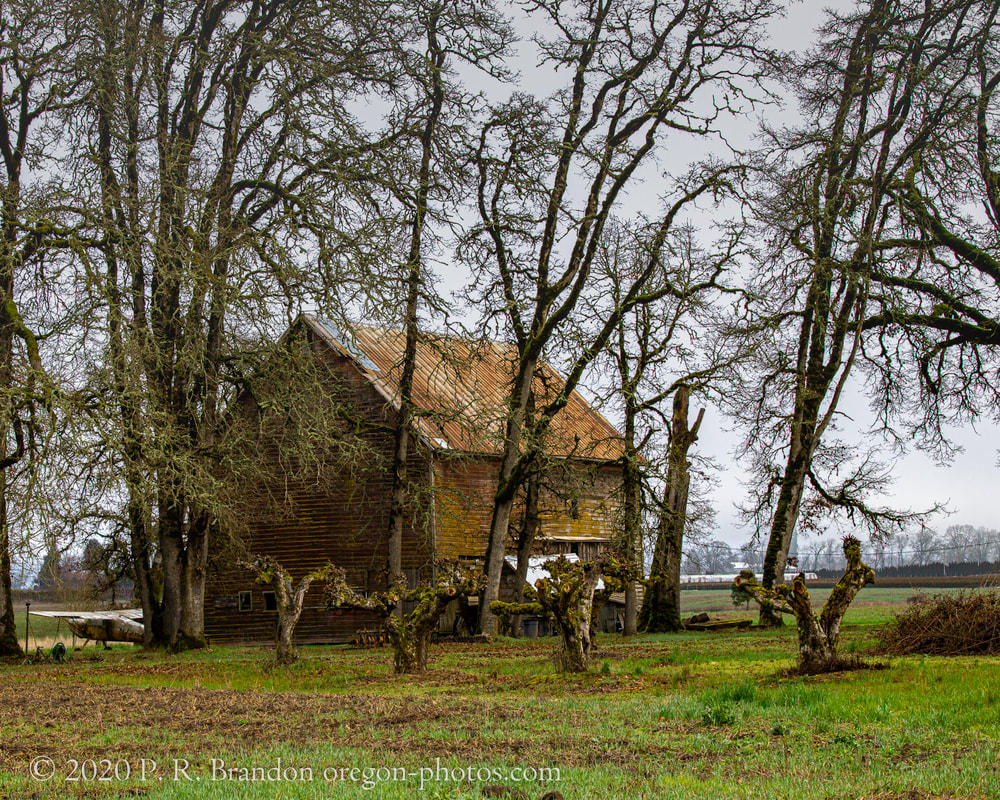 Photo of barn in Washington County, Oregon