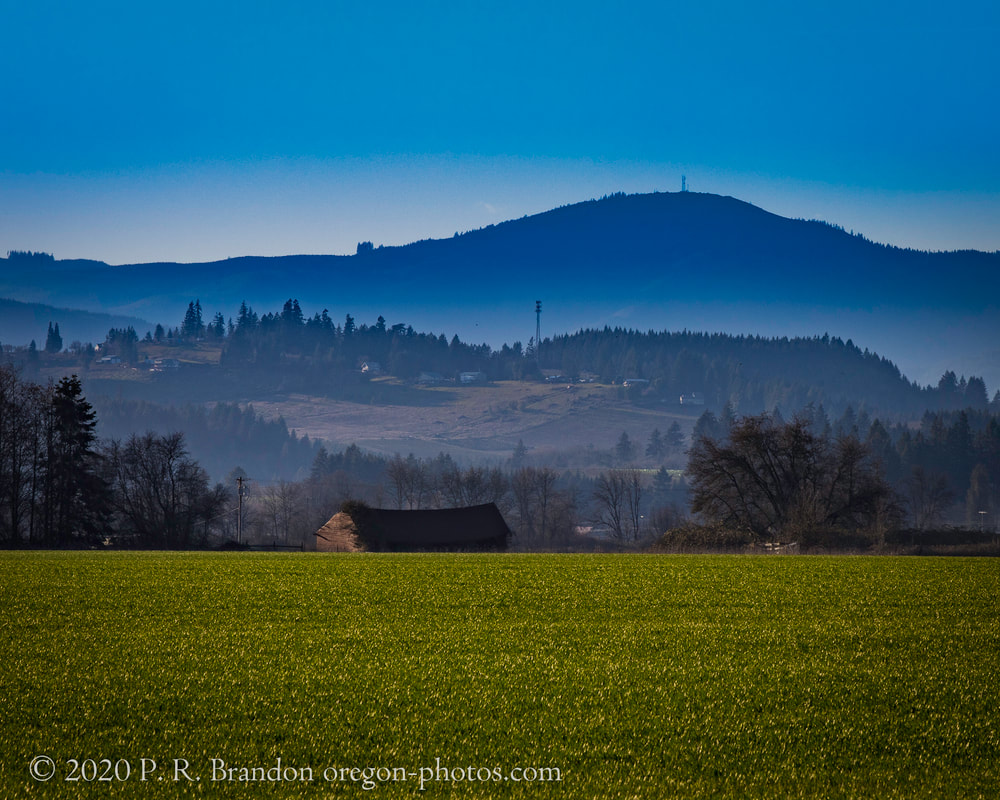 Photo of fields and hills on Nehalem Hwy. in Washington County, Oregon