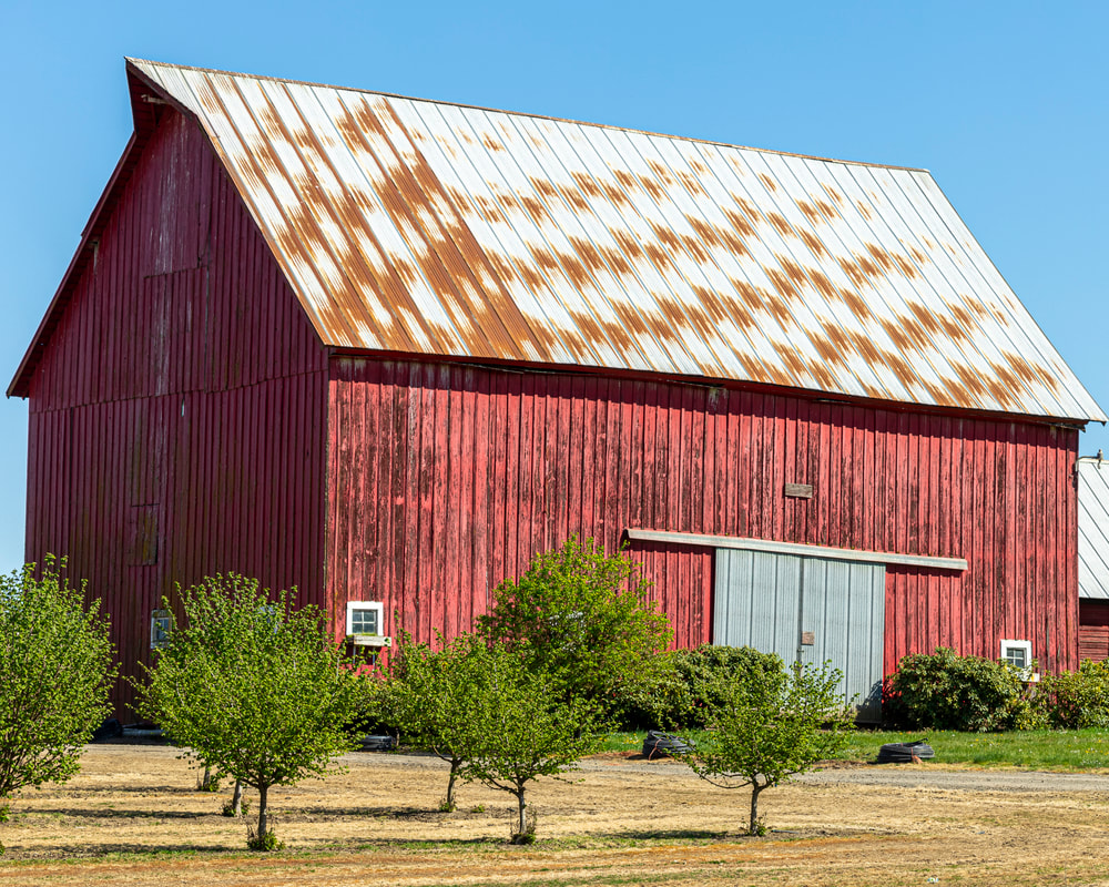 Photo of barn in Yamhill County, Oregon