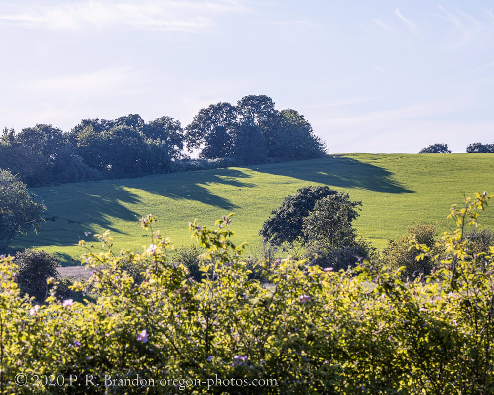 Photo of hillside by Oak Grove Rd.