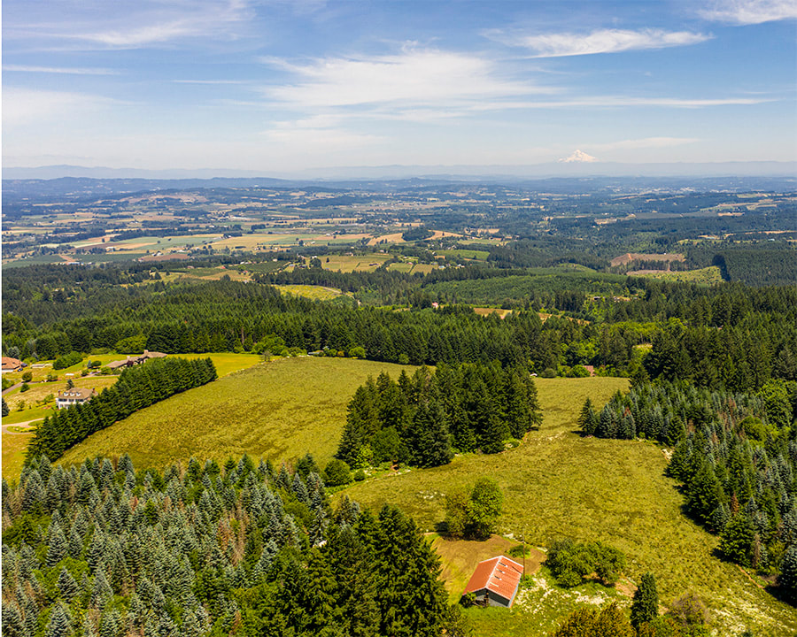 Link to Yamhill County, Oregon aerial 360° photo
