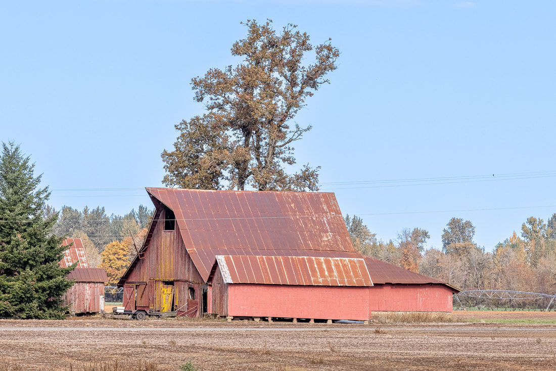 Barn near Monroe, Oregon