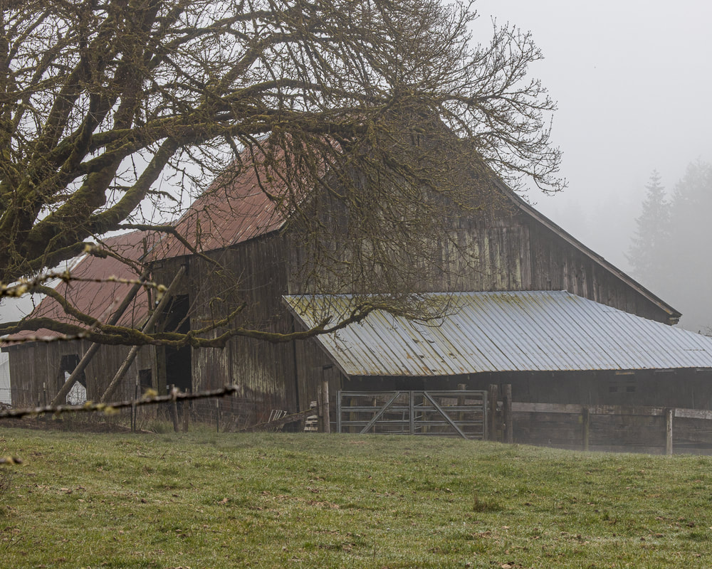 Barn in Columbia County, Oregon