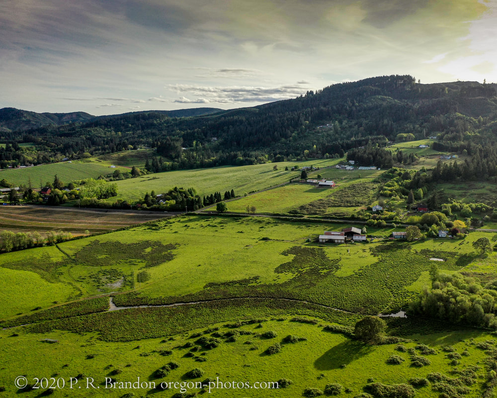 Photo of fields and hills on Stringtown Rd.  in Washington County, Oregon