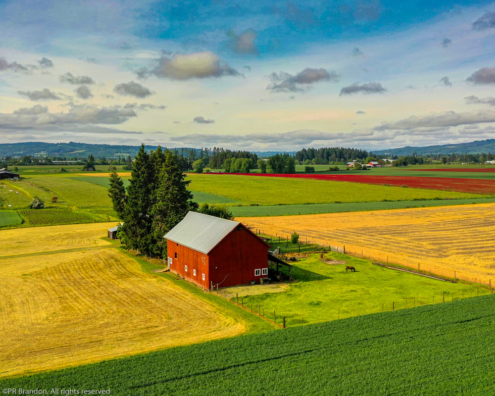 Bbarn in Washington County, Oregon (drone view)