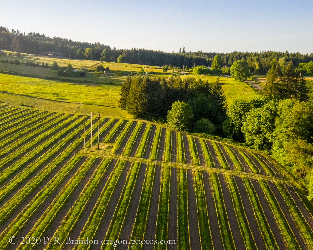 Waashington County Oregon landscape  (drone view)