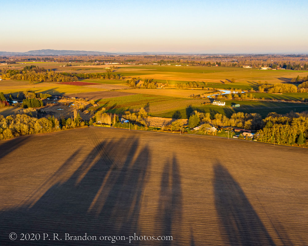 Photo of fields by SE Lafayette Hwy.
