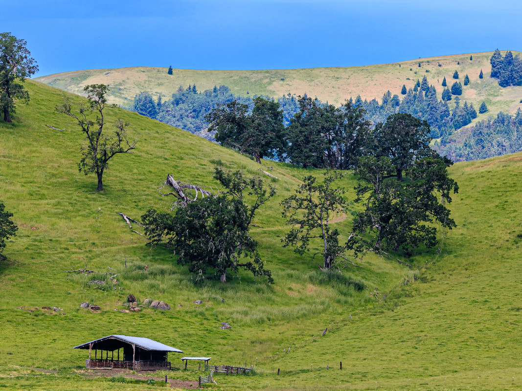 Hillside in the Spring near Del Rio Rd. & Interstate 5, Roseburg North, Oregon