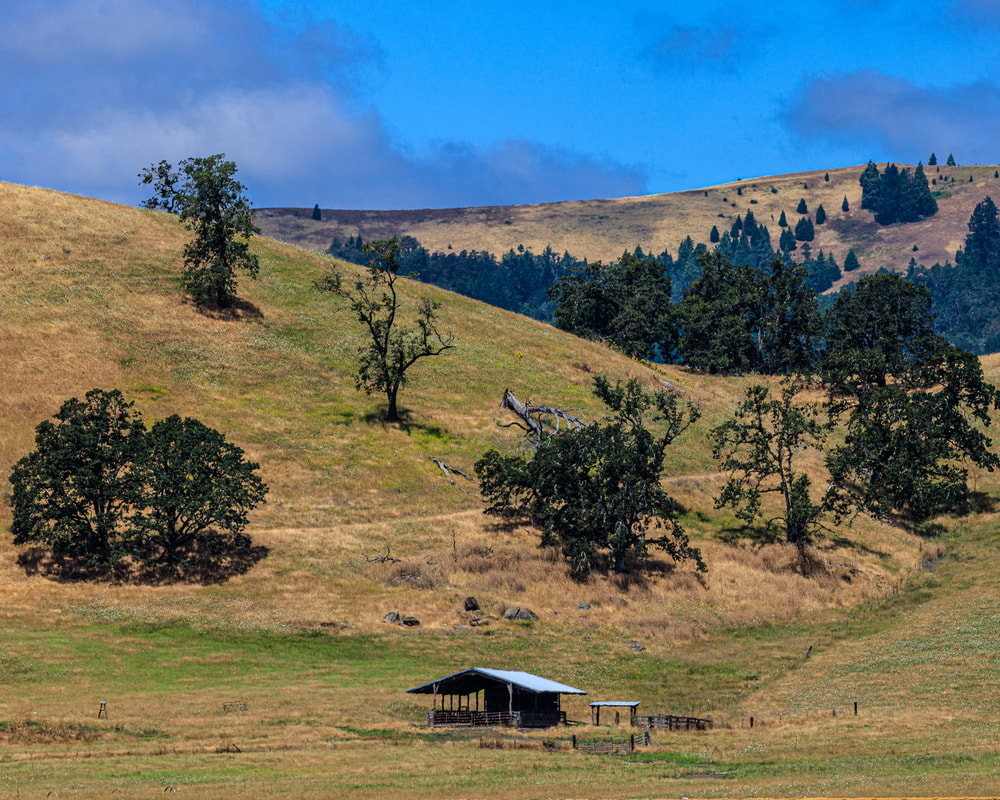Hillside in the Fall near Del Rio Rd. & Interstate 5, Roseburg North, Oregon
