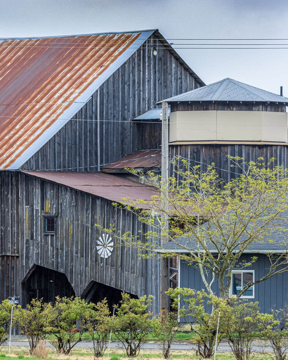 Oregon barn (Benton County)