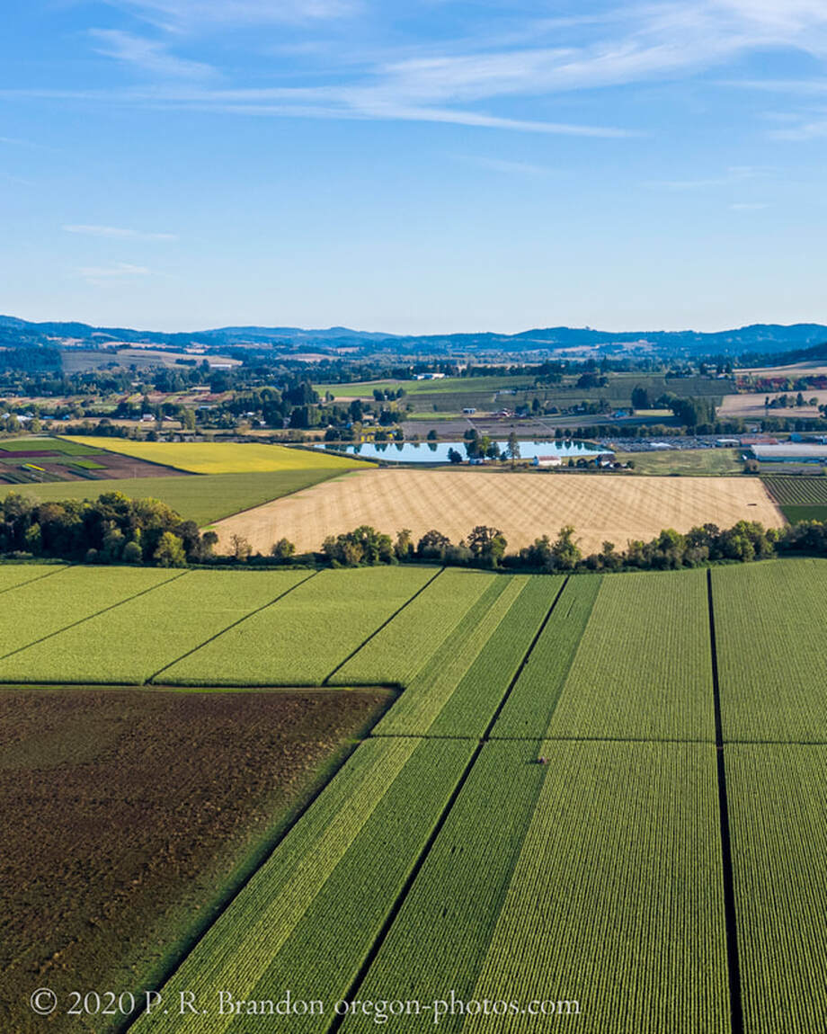 Washington County Oregon landscape  (drone view)