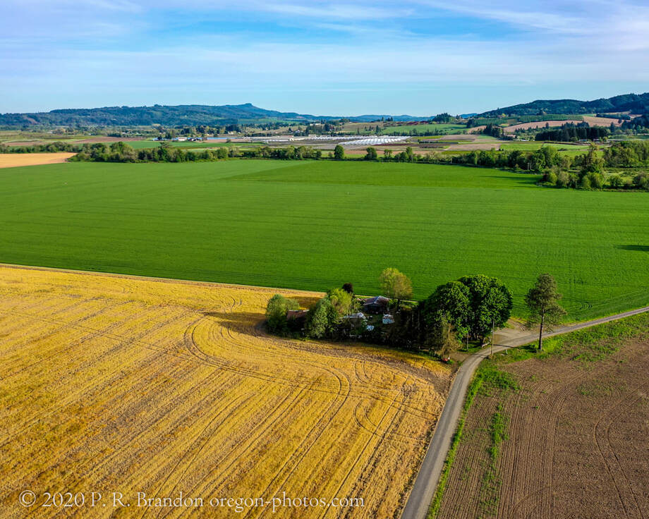 Photo of fields near Gales Creek Rd.  in Washington County, Oregon