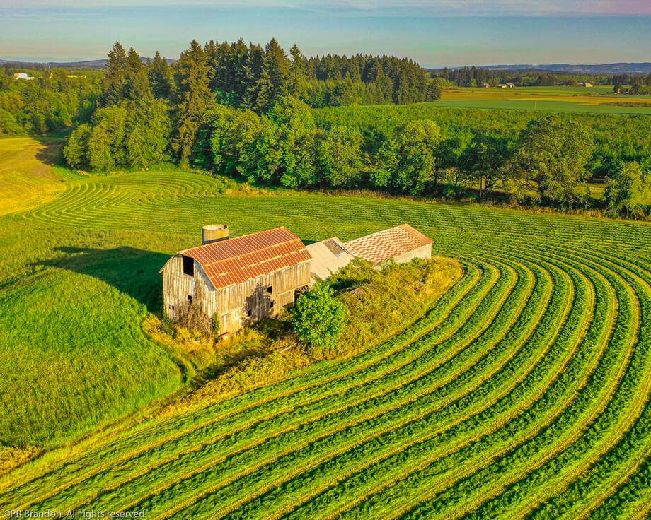 Barn in Washington County, Oregon (drone view)