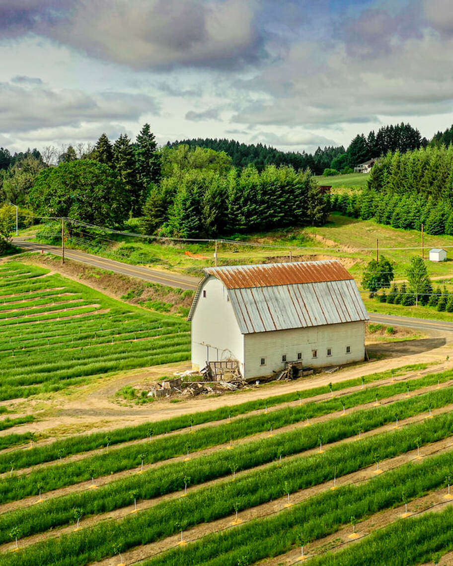 Photo of barn in Washington County, Oregon (drone view)