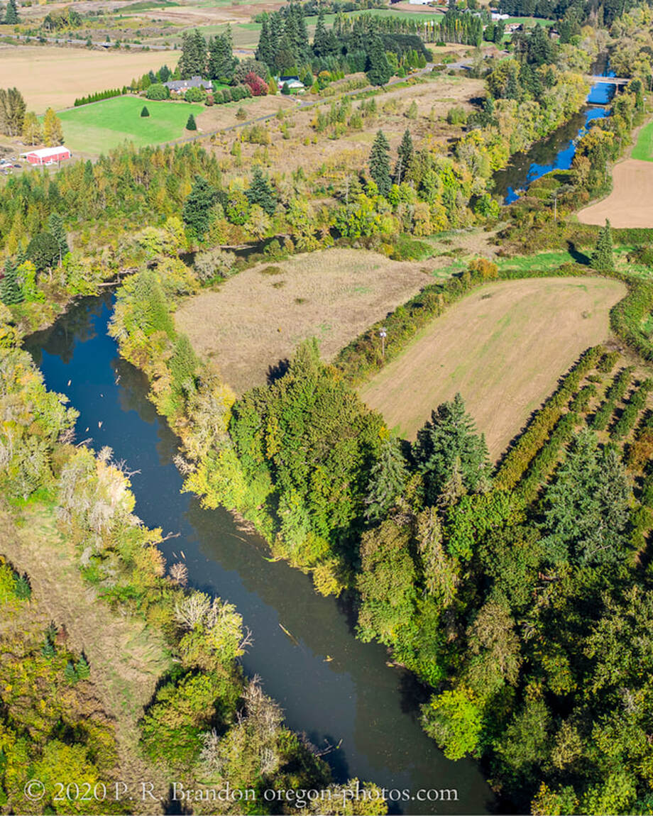 Photo of Tualatin River near SW Scholls-Sherwood Rd. (drone view)