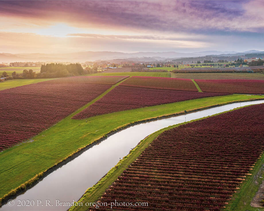 Photo of canal and fields on NW Wilson River Hwy. in Washington County, Oregon