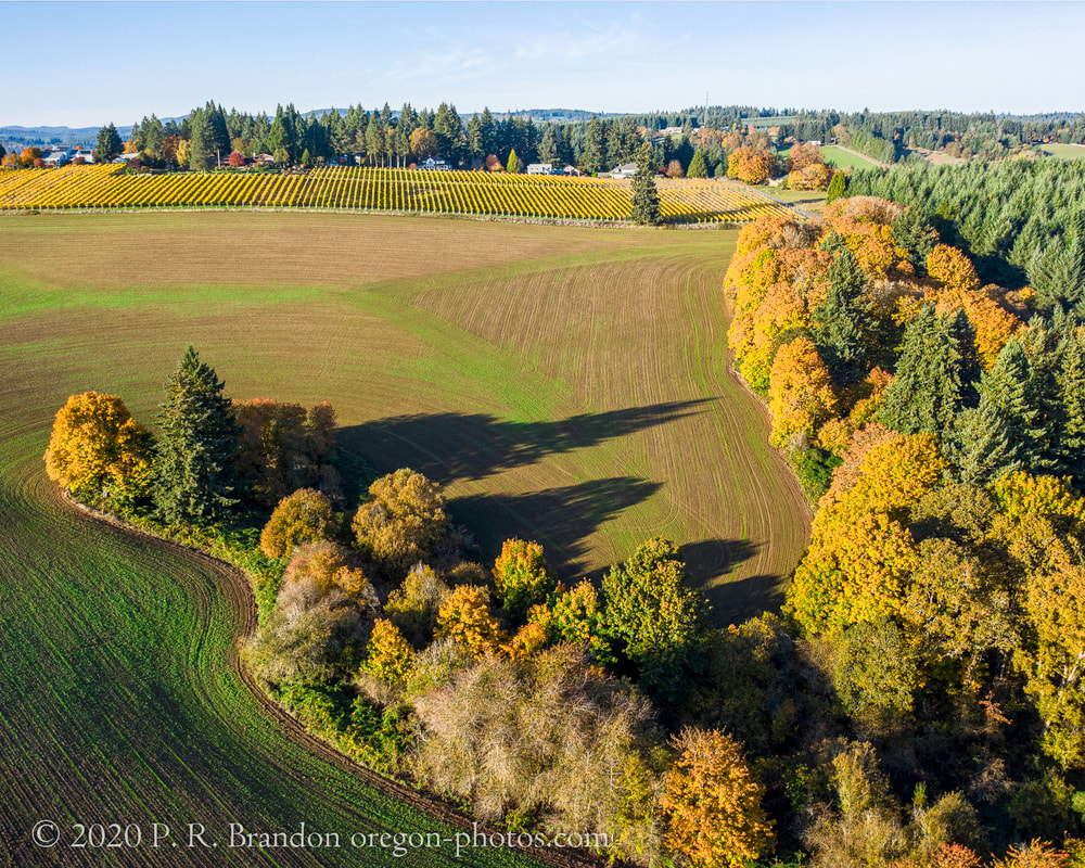 Photo of the countryside near NW Banks Rd. (drone view)