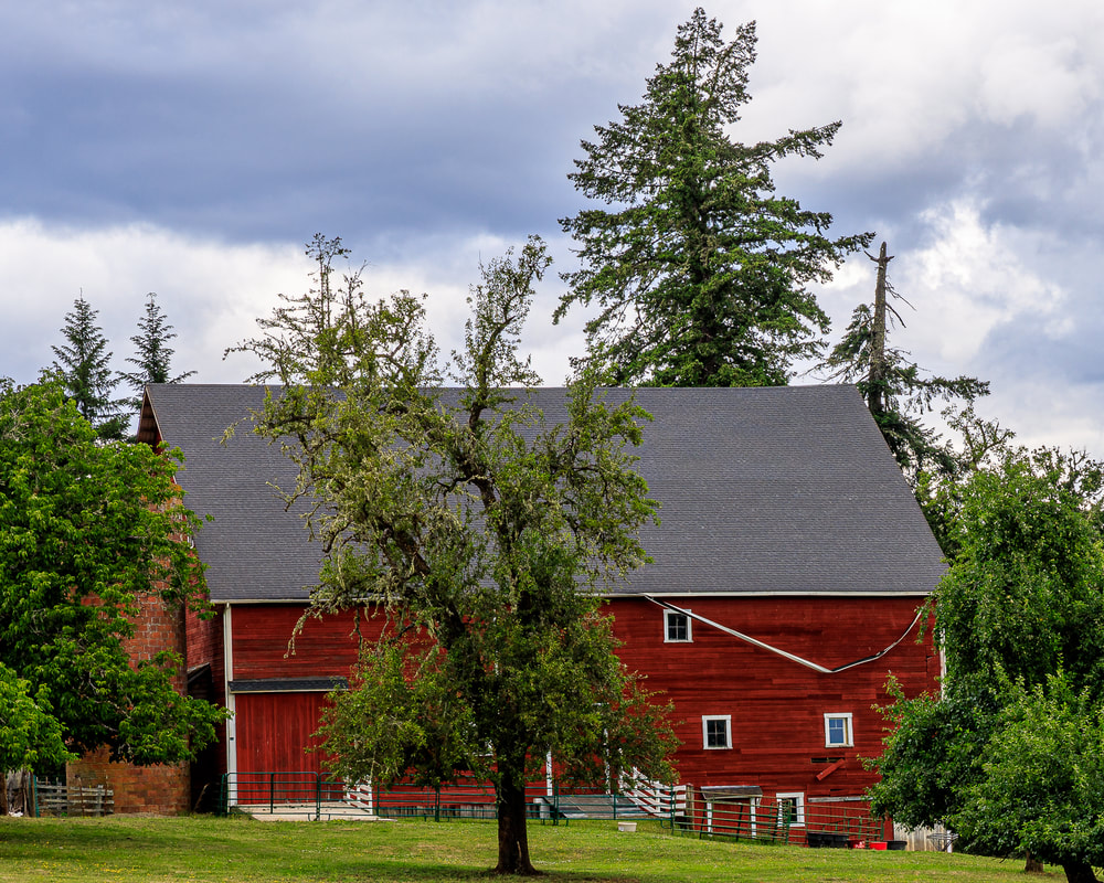 Barn in Cottage Grove, Oregon