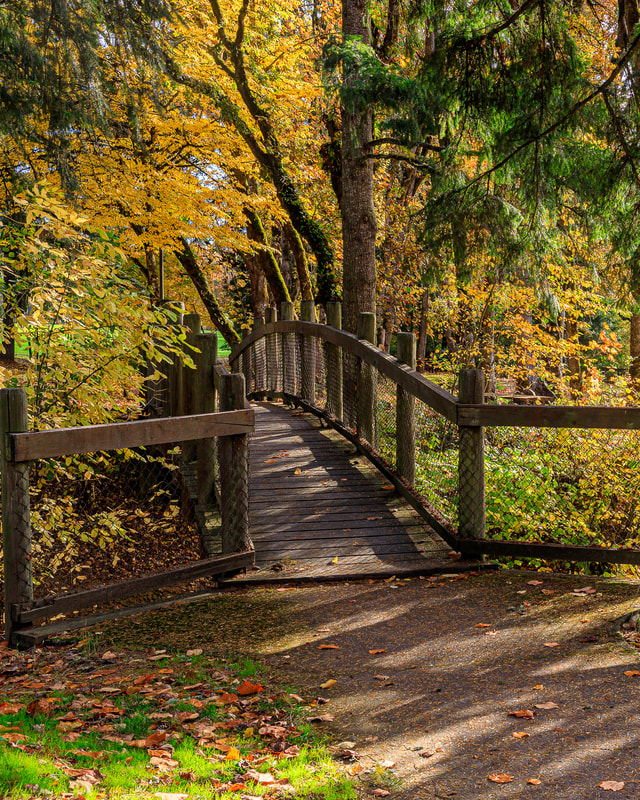 Footbridge in Hyak County Park, Albany