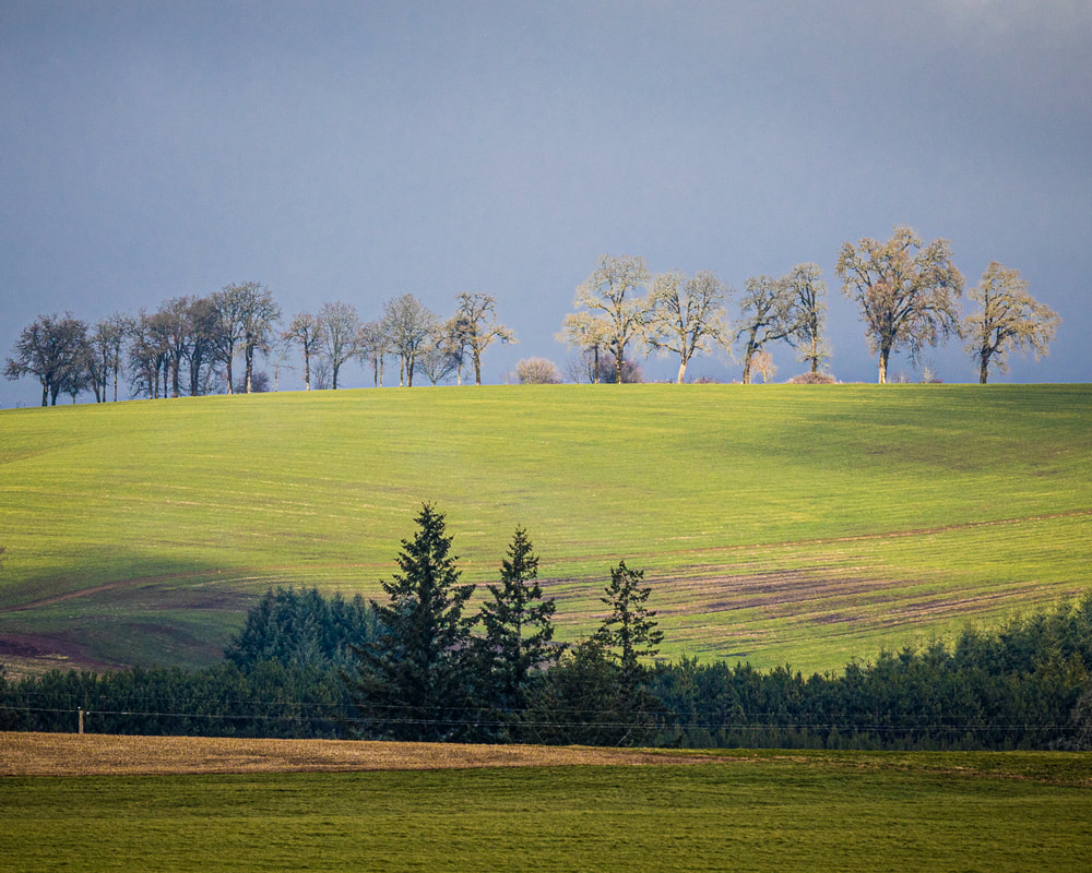 Marion County Oregon landscape
