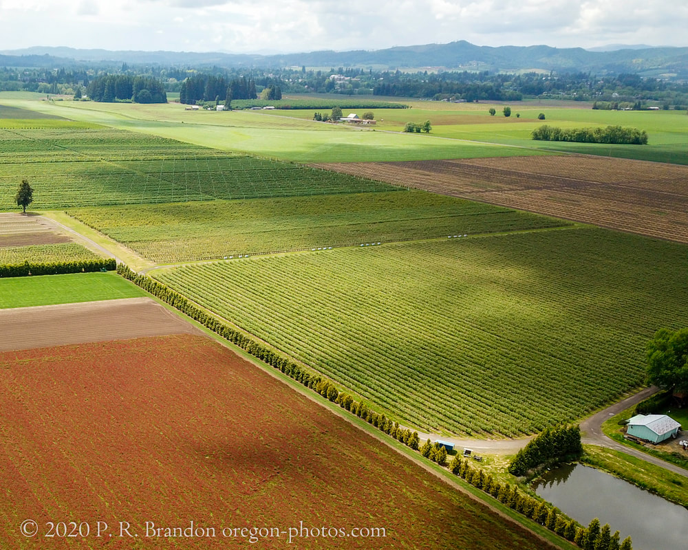 Link to Washington County aerial 360° photo