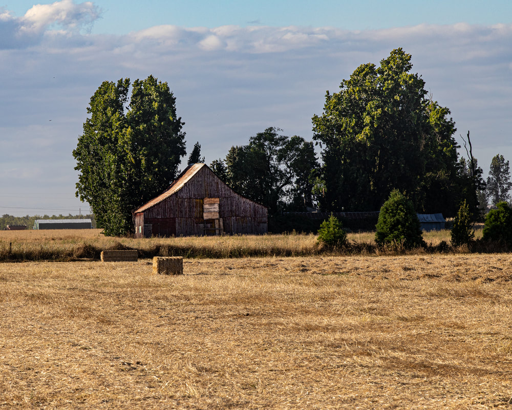 Photo of barn in Polk County Oregon