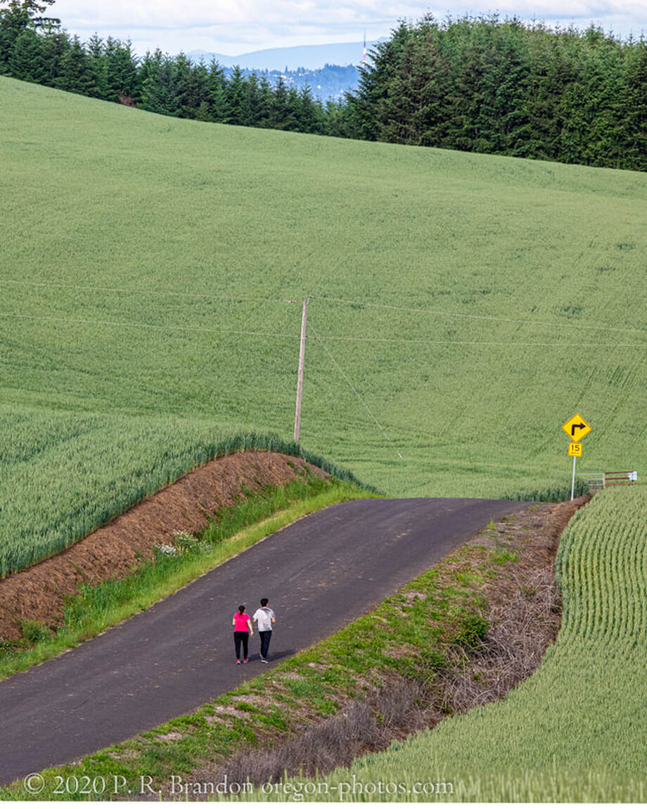 Photo of field and people on SW Dober Rd. in Washington County, Oregon