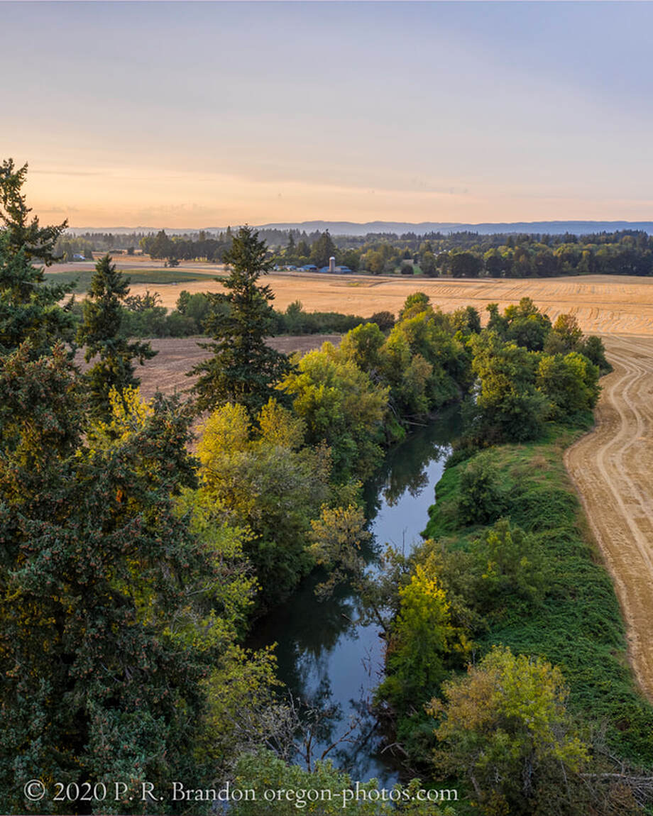 Photo of the Tualatin River by SW River Rd. (drone view)