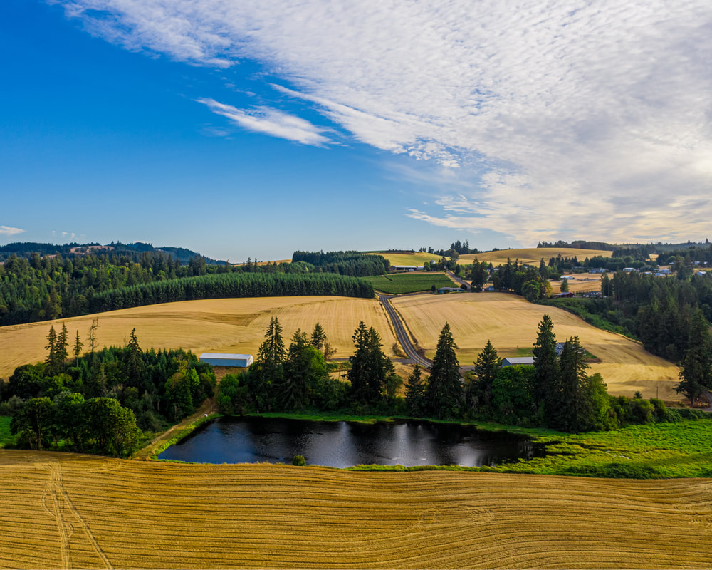 Washington County Oregon landscape (drone view)