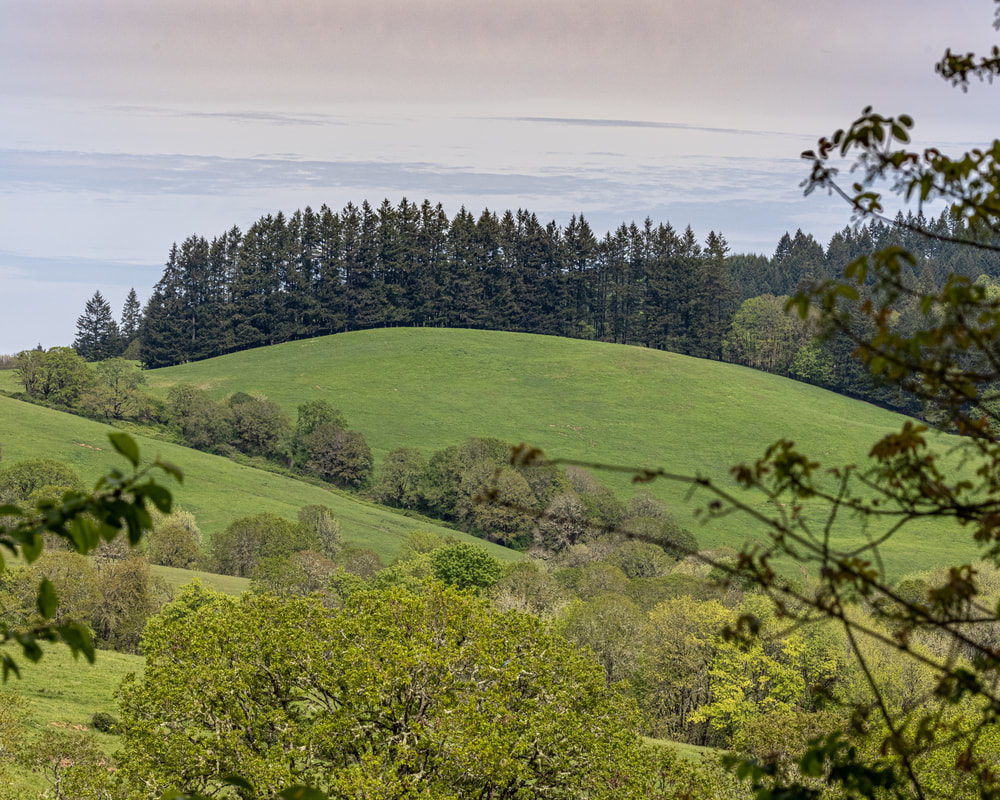 Hillside in Washington County, Oregon