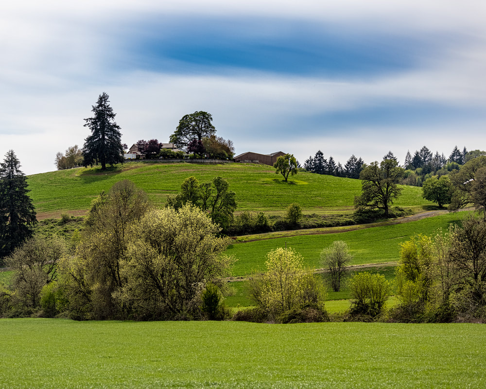 Hillside in Washington County, Oregon