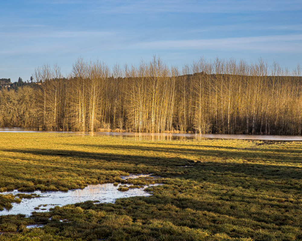 Washington County Oregon landscape 