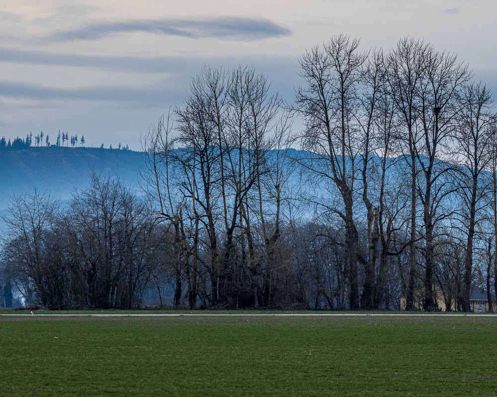 Washington County Oregon landscape 