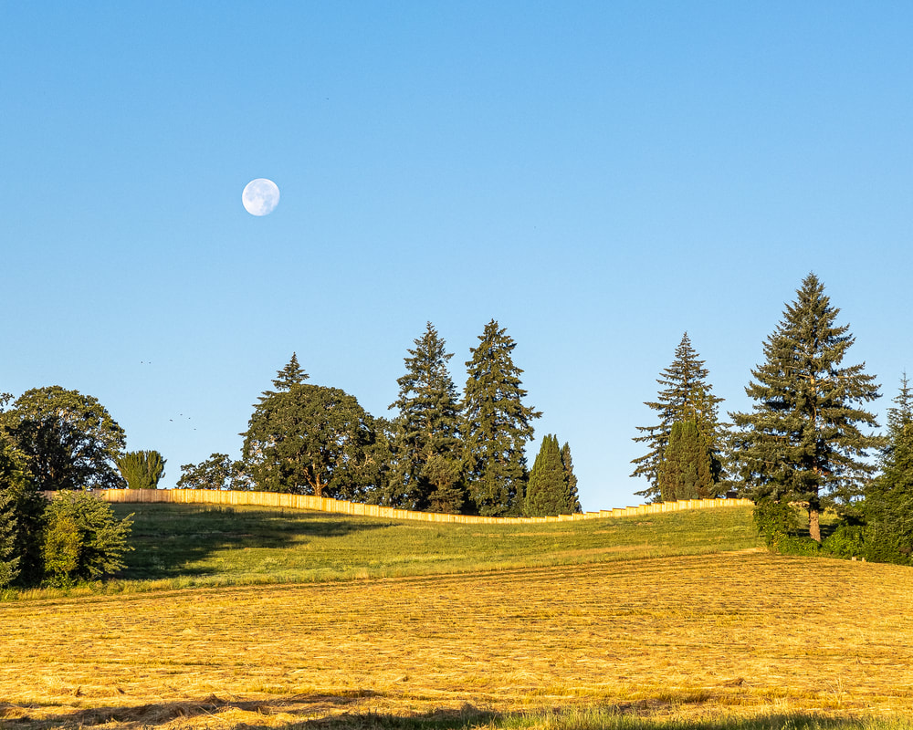Moon by Thatcher Park, Forest Grove, Oregon