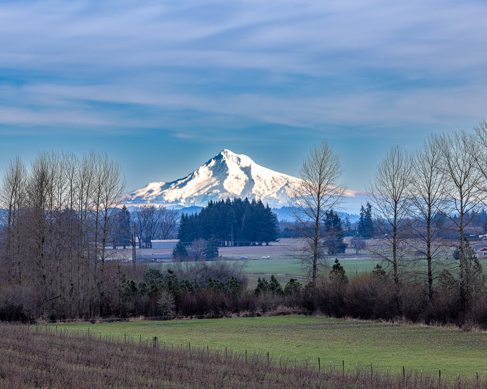 View of Mt. Hood from Forest Grove, Oregon