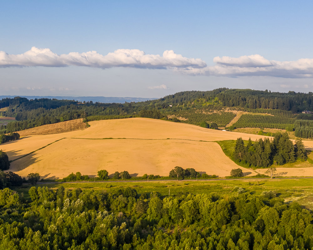 Photo of Washington County, Oregon landscape  (drone view)