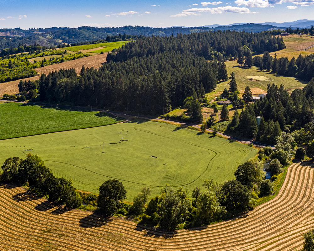 Photo of Washington County, Oregon landscape  (drone view)