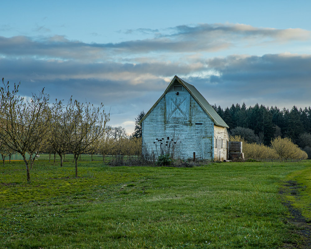 Barn in Yamhill County, Oregon
