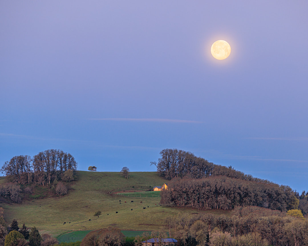 View of moon over hillside with gazebo from Peavine Rd., McMinnville, Oregon
