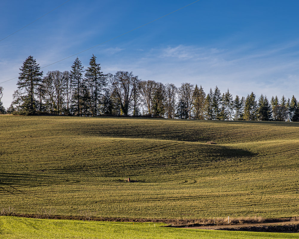 Yamhill County Oregon landscape