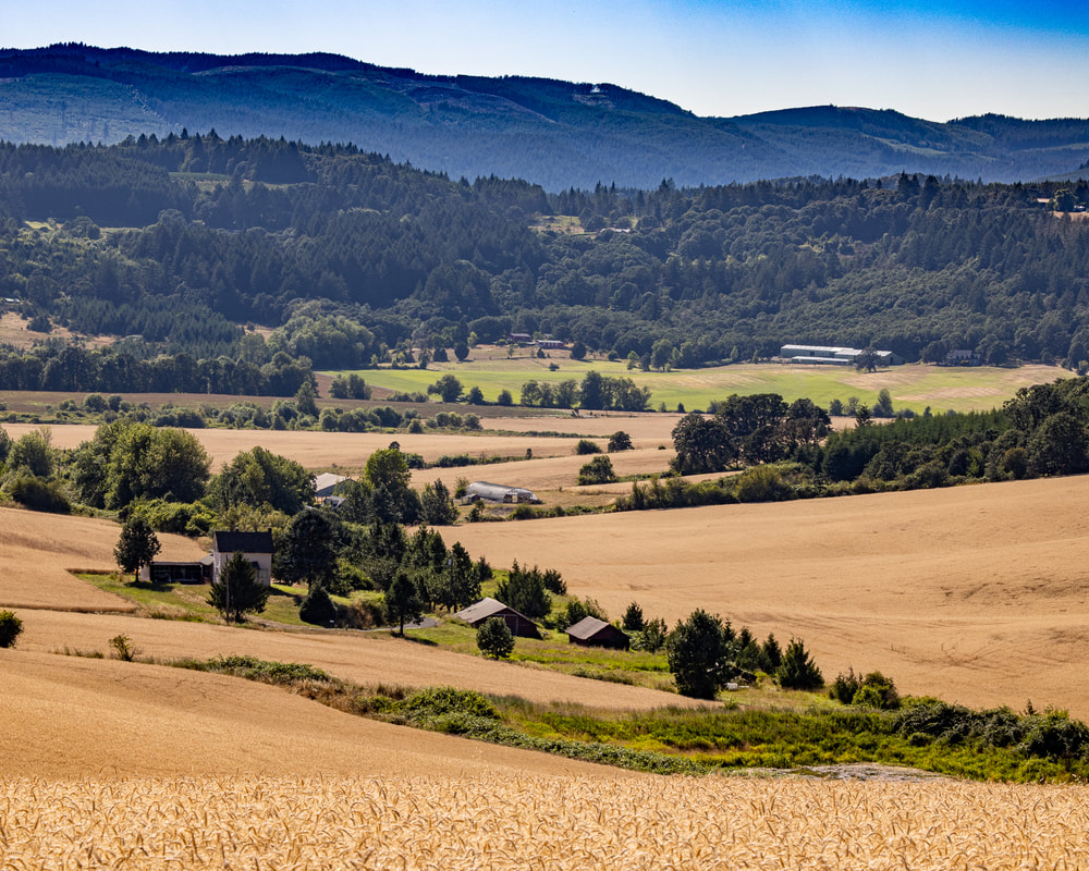 Photo of Yamhill County, Oregon landscape