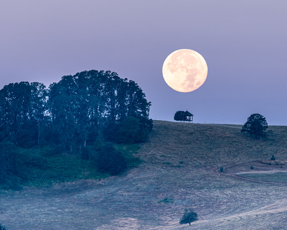 Moon over hillside with gazebo a little SW of McMinnville, Oregon 