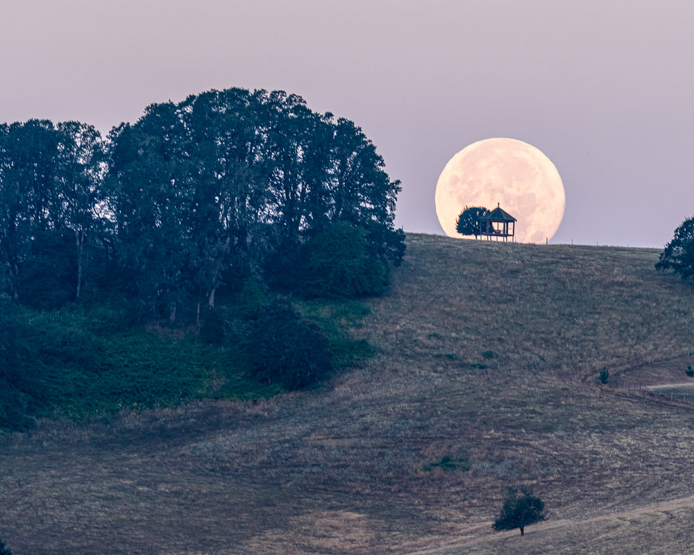 Moon over hillside with gazebo a little SW of McMinnville, Oregon 